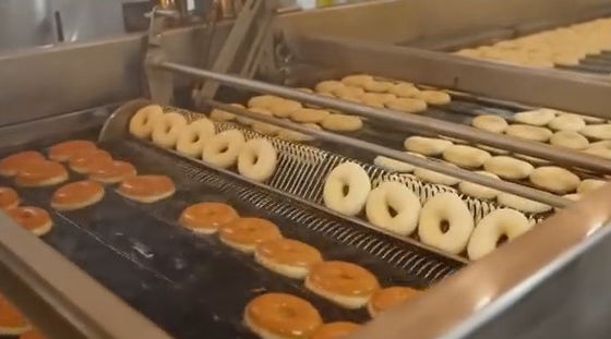 Beli Jalur Produksi Donat Otomatisasi Tinggi dengan Modular Adonan Sistem Terpal pembuatan online